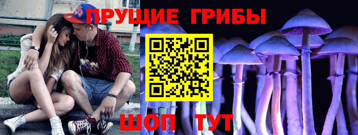 Псилоцибиновые грибы мицелий  Вход с VPN  Ирбит 